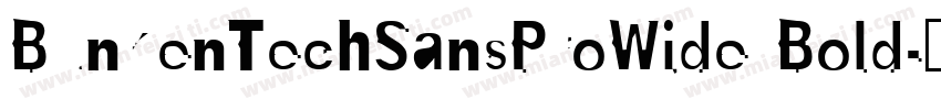 BunkenTechSansProWide Bold字体转换